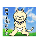 人間味溢れるねこ2（北海道風味）（個別スタンプ：30）