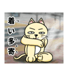 人間味溢れるねこ2（北海道風味）（個別スタンプ：31）