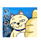 人間味溢れるねこ2（北海道風味）（個別スタンプ：33）