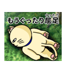 人間味溢れるねこ2（北海道風味）（個別スタンプ：35）