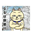 人間味溢れるねこ2（北海道風味）（個別スタンプ：38）