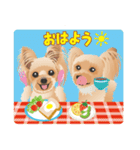 ヨーキー♡ココア姉妹の可愛いあいさつ（個別スタンプ：1）
