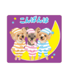 ヨーキー♡ココア姉妹の可愛いあいさつ（個別スタンプ：3）