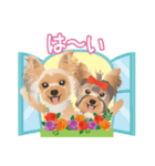 ヨーキー♡ココア姉妹の可愛いあいさつ（個別スタンプ：5）