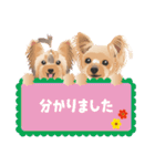 ヨーキー♡ココア姉妹の可愛いあいさつ（個別スタンプ：8）
