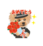 ヨーキー♡ココア姉妹の可愛いあいさつ（個別スタンプ：13）