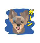 ヨーキー♡ココア姉妹の可愛いあいさつ（個別スタンプ：15）