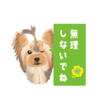 ヨーキー♡ココア姉妹の可愛いあいさつ（個別スタンプ：21）