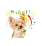 ヨーキー♡ココア姉妹の可愛いあいさつ（個別スタンプ：24）