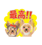 ヨーキー♡ココア姉妹の可愛いあいさつ（個別スタンプ：25）