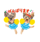 ヨーキー♡ココア姉妹の可愛いあいさつ（個別スタンプ：26）