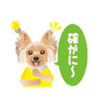 ヨーキー♡ココア姉妹の可愛いあいさつ（個別スタンプ：31）