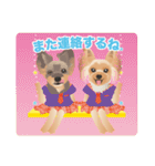 ヨーキー♡ココア姉妹の可愛いあいさつ（個別スタンプ：38）