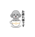 使いやすい敬語のトイプードル（個別スタンプ：3）