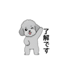 使いやすい敬語のトイプードル（個別スタンプ：5）