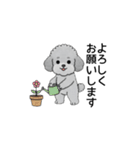 使いやすい敬語のトイプードル（個別スタンプ：6）