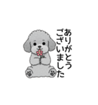 使いやすい敬語のトイプードル（個別スタンプ：8）