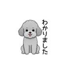 使いやすい敬語のトイプードル（個別スタンプ：9）