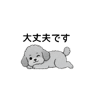 使いやすい敬語のトイプードル（個別スタンプ：10）