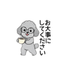 使いやすい敬語のトイプードル（個別スタンプ：12）