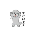 使いやすい敬語のトイプードル（個別スタンプ：13）