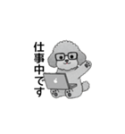 使いやすい敬語のトイプードル（個別スタンプ：17）