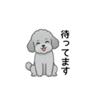 使いやすい敬語のトイプードル（個別スタンプ：22）