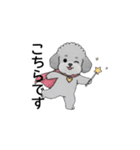 使いやすい敬語のトイプードル（個別スタンプ：25）