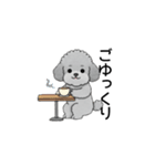 使いやすい敬語のトイプードル（個別スタンプ：27）