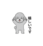 使いやすい敬語のトイプードル（個別スタンプ：28）