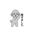 使いやすい敬語のトイプードル（個別スタンプ：29）