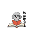 使いやすい敬語のトイプードル（個別スタンプ：37）