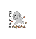 使いやすい敬語のトイプードル（個別スタンプ：40）