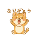 ふわふわ、もふもふ猫（個別スタンプ：9）