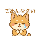 ふわふわ、もふもふ猫（個別スタンプ：11）