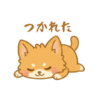 ふわふわ、もふもふ猫（個別スタンプ：18）