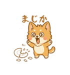 ふわふわ、もふもふ猫（個別スタンプ：25）