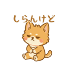 ふわふわ、もふもふ猫（個別スタンプ：26）