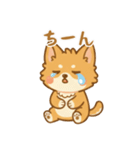 ふわふわ、もふもふ猫（個別スタンプ：28）