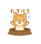 ふわふわ、もふもふ猫（個別スタンプ：36）