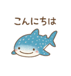 ほんわか♪水族館♪海の生き物☆挨拶☆毎日（個別スタンプ：4）
