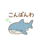 ほんわか♪水族館♪海の生き物☆挨拶☆毎日（個別スタンプ：6）