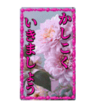 ちいさなごあいさつ（個別スタンプ：18）
