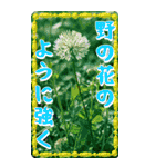 ちいさなごあいさつ（個別スタンプ：19）