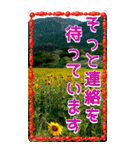 ちいさなごあいさつ（個別スタンプ：28）