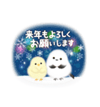 シマエナガとひよこちゃん(冬スタンプ)（個別スタンプ：17）