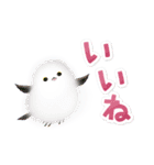 シマエナガとひよこちゃん(冬スタンプ)（個別スタンプ：20）