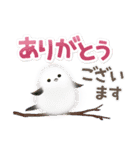 シマエナガとひよこちゃん(冬スタンプ)（個別スタンプ：24）