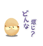 シマエナガとひよこちゃん(冬スタンプ)（個別スタンプ：37）