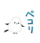 シマエナガとひよこちゃん(冬スタンプ)（個別スタンプ：40）